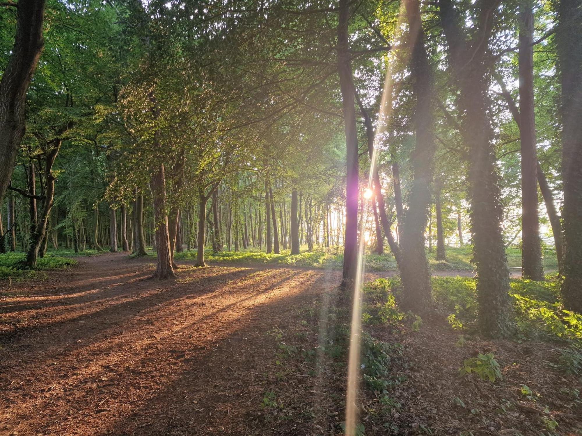 Nocleg ze śniadaniem Ośrodek Promenada- Faleza Jastrzębia Góra